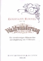 Waldwanderung fr Mnnerchor und 4 Hrner Partitur und Instrumentalstimmen