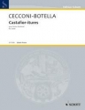 Cecconi-Botella, Monic Castafior-itures Ondes Martenot