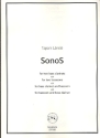 SonoS for 2 bass clarinets (bassoons/bass clarinet and bassoon) 2 scores (in c and in bb)
