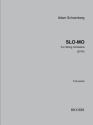 Adam Schoenberg, Slo-Mo Streichorchester Buch