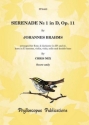 Serenade d major no.1 op.11 for flute, 2 clarinets, horn, bassoon and strings score