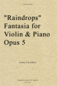 Lenny Cavallaro, Raindrops Fantasia for Violin/Piano, Op. 5 Violine und Klavier Buch