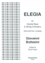 Giovanni Bottesini Ed: David Heyes Elegia (Orchestral Tuning) double bass and string orchestra