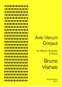 Bruno Vlahek Ave Verum Corpus voice (mezzo)