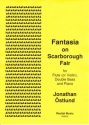 Jonathan Ostlund Fantasia on Scarborough Fair double bass & other instruments