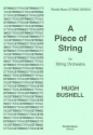 Hugh Bushell A Piece of String string orchestra