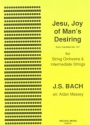 Johann Sebastian Bach Arr: Aidan Massey Jesu, Joy of Man's Desiring string orchestra