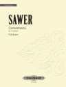 Sawer, David Caravanserai fr 14 Spieler Partitur