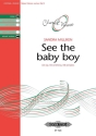 Milliken, S. See the baby boy (2007), P., S. solo, Fr., GH. See the baby boy (P)