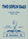 2 Joplin Rags for bassoon and piano