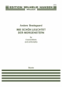 Anders Brdsgaard, Wie Schn Leuchtet Der Morgenstern Accordion Quartet Partitur