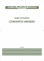 Asbjrn Schaathun, Concerto Grosso (Full Score) Streichorchester Partitur