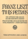 Tu es Petrus  fr gem Chor, Orchester und Orgel Klavierauszug