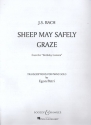 Sheep may safely graze for piano