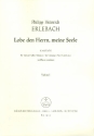 Lobe den Herrn meine Seele fr gem Chor, Streichorchester und Bc Violine 1