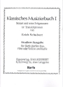 Klassisches Musizierbuch Band 1 fr 1-2 Harfen und Flte (Violine) Stimmen