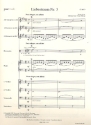 Liebestraum Nr.3 fr Kammerorchester Partitur