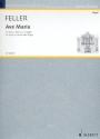 Ave Maria fr Sopran (Tenor) und Orgel