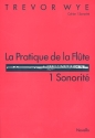 La pratique de la flte vol.1 - sonorit