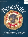 Benedicite for mixed chorus, children's chorus and small orchestra vocal score