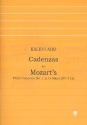 Cadenzas for Mozart's Flute Concerto no.1 G major KV313