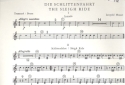 Die Schlittenfahrt fr Streicher, Trompete und Schlagwerk Trommel