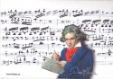 Brillenputztuch Beethoven 18 x 12,5 cm