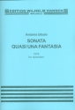 Sonata quasi una Fantasia for accordion