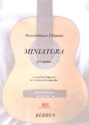 Miniatura per chitarra