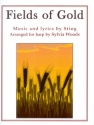 Fields of Gold for harp (with lyrics)