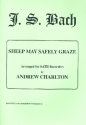 Sheep may safely graze BWV208 for 4 recorders (SATB) score and parts