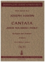 Cantata 'Miseri noi, misera patria' Hob.XXIVa:7 fr Sopran und Orchester Studienpartitur