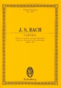 Seget wir gehn hinauf gen Jerusalem - Kantate Nr.159 BWV159 fr Soli, Chor und Orchester Studienpartitur