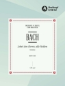 Lobet den Herren BWV230 fr gem Chor partitur (dt)