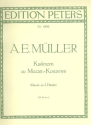 Kadenzen zu 8 berhmten Konzerten fr Klavier und Orchester