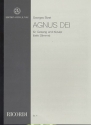 Agnus Dei D-Dur fr tiefe Singstimme und Klavier