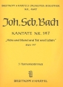 Herz und Mund und Tat und Leben Kantate Nr.147 BWV147 Harmonie