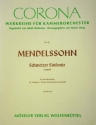 Sinfonie c-Moll Nr.9 fr Streichorchester Partitur