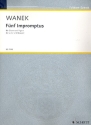 5 Impromptus fr Fagott und Gitarre