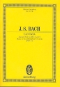 Jauchzet Gott in allen Landen - Kantate Nr.51 BWV51 fr Soli, Chor und Orchester Studienpartitur