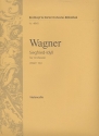 Siegfried-Idyll fr Orchester fr Orchester Violoncello