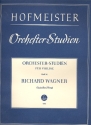 Orchesterstudien Band 24 fr Violine