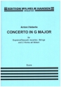 Concerto G major for descant recorder, strings, 2 horns ad lib. score