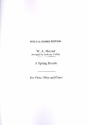 A Spring Rondo from Serenade no.9 KV320 for flute, oboe and piano parts