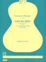 0258706 Viola und Gitarre Stimmen