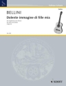 Dolente immagine di fille mia fr Gesang und Gitarre