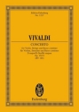 Concerto D major (fatto per la solennita della lingua di San Antonio) fr Violine, Streicher und Bc pocket score