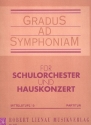 Salzburger Nachtmusik fr Streichorchester Partitur