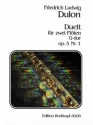 Duett G-Dur op.5,1 fr 2 Flten