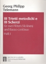 Trietto und scherzo Nr.1 fr 2 Flten und Bc